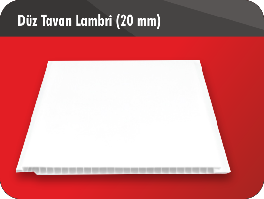 DÜZ TAVAN LAMBRİ (20)CM